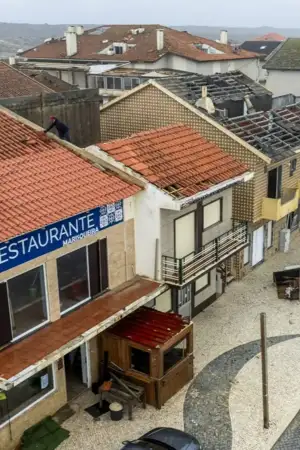 Árvore derrubada pela tempestade caída sobre a fachada de um prédio